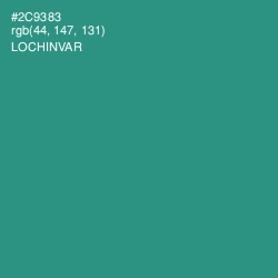 #2C9383 - Lochinvar Color Image