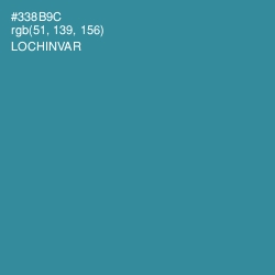 #338B9C - Lochinvar Color Image