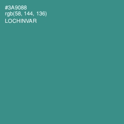 #3A9088 - Lochinvar Color Image