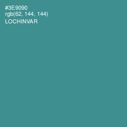 #3E9090 - Lochinvar Color Image