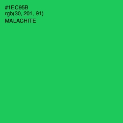 #1EC95B - Malachite Color Image