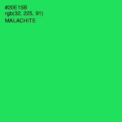 #20E15B - Malachite Color Image