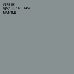 #879191 - Mantle Color Image