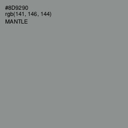 #8D9290 - Mantle Color Image