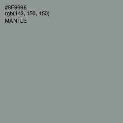 #8F9696 - Mantle Color Image