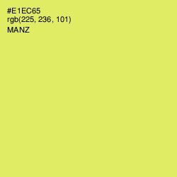 #E1EC65 - Manz Color Image