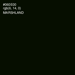 #060E00 - Marshland Color Image