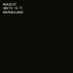 #0A0C07 - Marshland Color Image