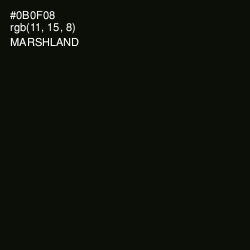 #0B0F08 - Marshland Color Image