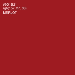 #9D1B21 - Merlot Color Image