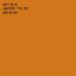 #D1761A - Meteor Color Image