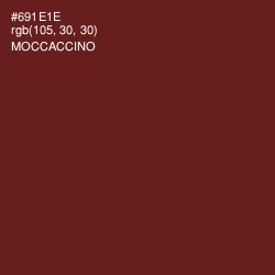 #691E1E - Moccaccino Color Image