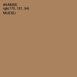 #AA835E - Muesli Color Image