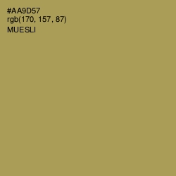 #AA9D57 - Muesli Color Image