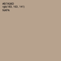 #B7A38D - Napa Color Image