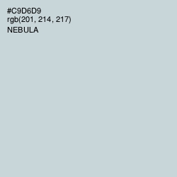 #C9D6D9 - Nebula Color Image