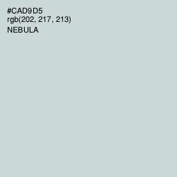 #CAD9D5 - Nebula Color Image