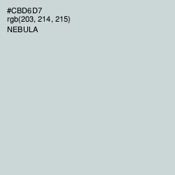 #CBD6D7 - Nebula Color Image