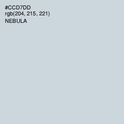 #CCD7DD - Nebula Color Image