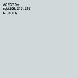 #CED7DA - Nebula Color Image