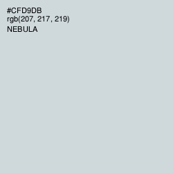 #CFD9DB - Nebula Color Image