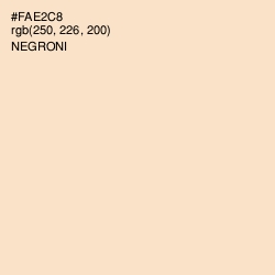 #FAE2C8 - Negroni Color Image