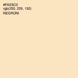 #FAE5C0 - Negroni Color Image
