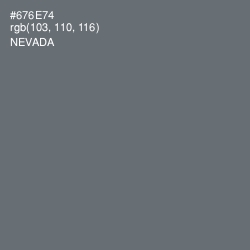 #676E74 - Nevada Color Image