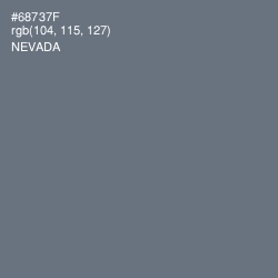 #68737F - Nevada Color Image