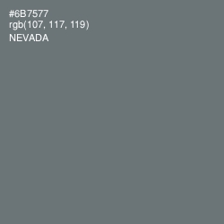 #6B7577 - Nevada Color Image