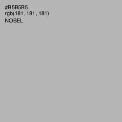 #B5B5B5 - Nobel Color Image