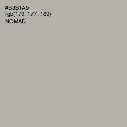 #B3B1A9 - Nomad Color Image