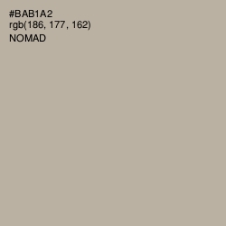 #BAB1A2 - Nomad Color Image