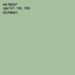 #A7BE9F - Norway Color Image