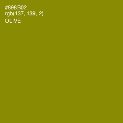 #898B02 - Olive Color Image