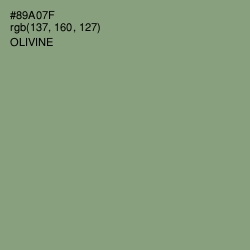 #89A07F - Olivine Color Image