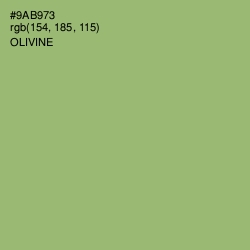 #9AB973 - Olivine Color Image