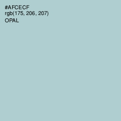 #AFCECF - Opal Color Image