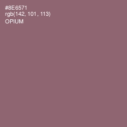 #8E6571 - Opium Color Image