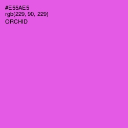 #E55AE5 - Orchid Color Image