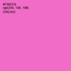 #F06CC6 - Orchid Color Image