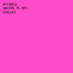 #FF4BC9 - Orchid Color Image