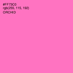 #FF73C0 - Orchid Color Image