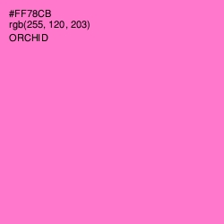 #FF78CB - Orchid Color Image