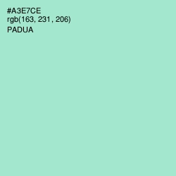 #A3E7CE - Padua Color Image