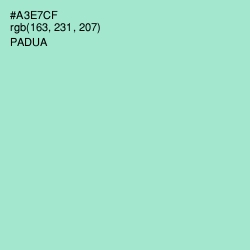 #A3E7CF - Padua Color Image