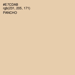 #E7CDAB - Pancho Color Image