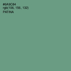 #6A9C84 - Patina Color Image