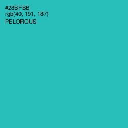 #28BFBB - Pelorous Color Image