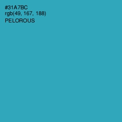 #31A7BC - Pelorous Color Image